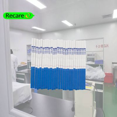check pregnancy strip at home early medical consumables